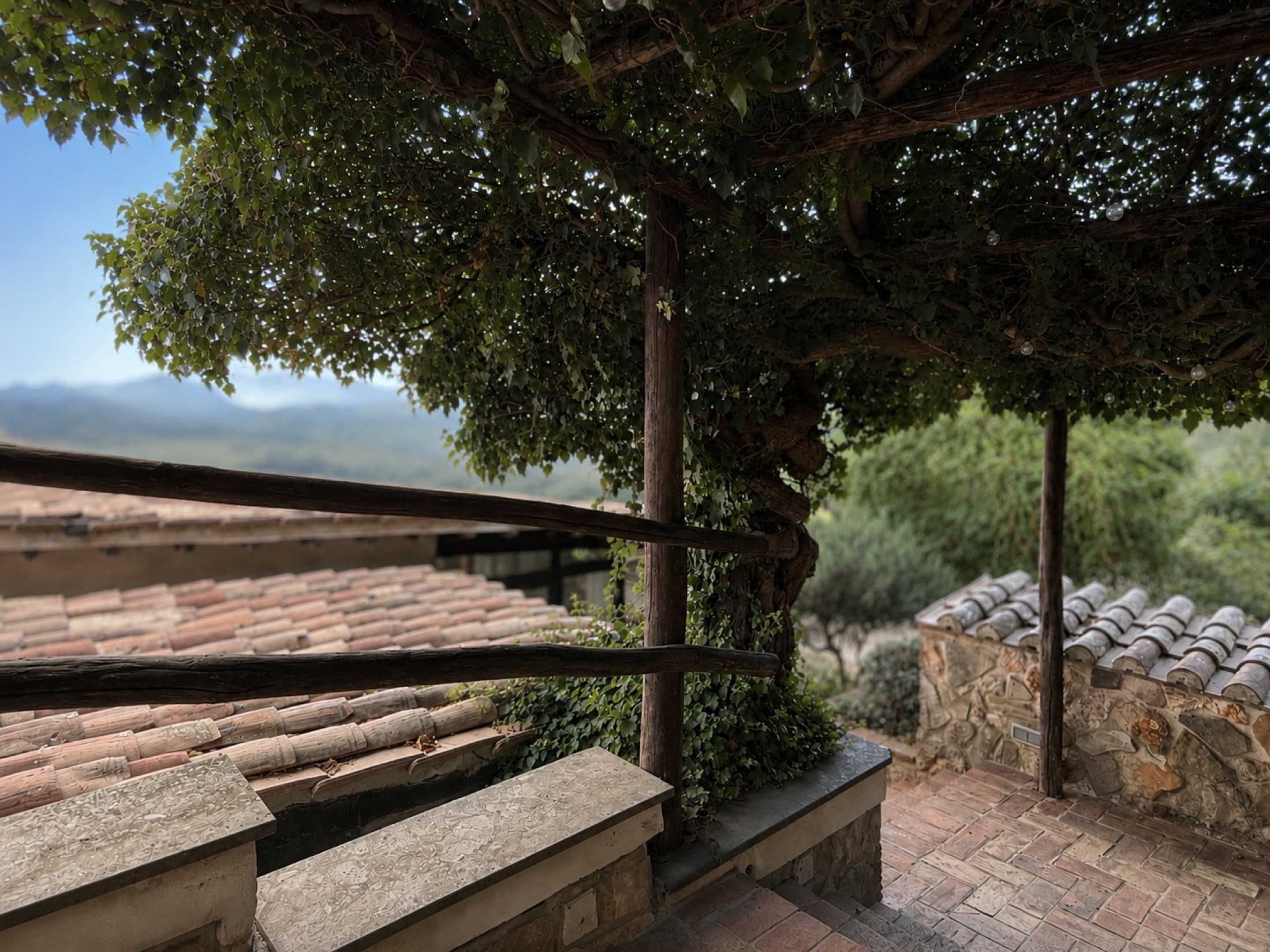 La pergola d'edera del Ristorante l'Edera con vista sulle colline della Tolfa
